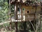 Treehouse Treehouse